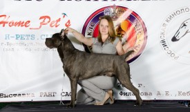 gEvFBxgVxaM.jpg (191.95 КБ, Просмотров: 4762) gEvFBxgVxaM.jpg