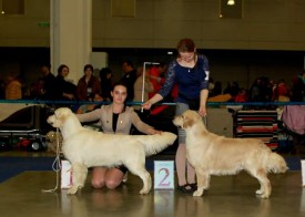 FB_IMG_1427117663765.jpg (30.7 КБ, Просмотров: 2766) FB_IMG_1427117663765.jpg