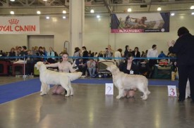 FB_IMG_1427049676426.jpg (33.39 КБ, Просмотров: 2556) FB_IMG_1427049676426.jpg