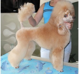 лайма стойка.jpg (157.73 КБ, Просмотров: 2528) лайма стойка.jpg