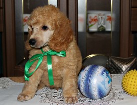 ттт.jpg (890.34 КБ, Просмотров: 2412) ттт.jpg