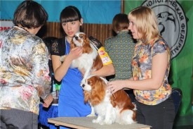 bd1323bd2442.jpg (112.09 КБ, Просмотров: 11898) bd1323bd2442.jpg