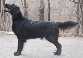 мать - копия.jpg (28.01 КБ, Просмотров: 1279) мать - копия.jpg