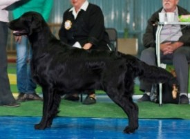 отец - копия.jpg (82.55 КБ, Просмотров: 1279) отец - копия.jpg