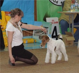 image.jpg (71.21 КБ, Просмотров: 1398) image.jpg