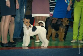 image.jpg (73.9 КБ, Просмотров: 1394) image.jpg