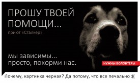 2maIuBM7_fA.jpg (107.15 КБ, Просмотров: 8682) 2maIuBM7_fA.jpg