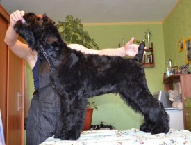 wJxDHba1SYg.jpg (95.76 КБ, Просмотров: 1345) wJxDHba1SYg.jpg