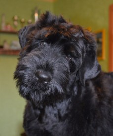 ZDuGpowr50o.jpg (84.45 КБ, Просмотров: 1345) ZDuGpowr50o.jpg