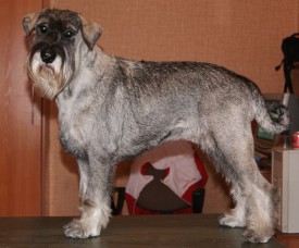 F25Bo8vFiGo.jpg (108.52 КБ, Просмотров: 3715) F25Bo8vFiGo.jpg