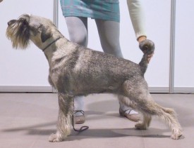 QACzSedBHPM.jpg (144.37 КБ, Просмотров: 3716) QACzSedBHPM.jpg