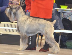 t_G6hd7e4KA.jpg (146.85 КБ, Просмотров: 3715) t_G6hd7e4KA.jpg