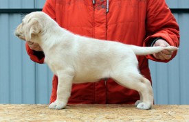 фио.jpg (76.62 КБ, Просмотров: 1674) фио.jpg