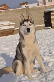 S4nrZ.jpg (135.38 КБ, Просмотров: 2109) S4nrZ.jpg