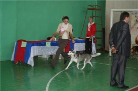 RDfaP.jpg (48.44 КБ, Просмотров: 2109) RDfaP.jpg