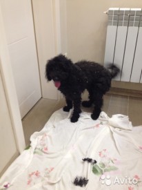 1636339822.jpg (34.16 КБ, Просмотров: 2050) 1636339822.jpg