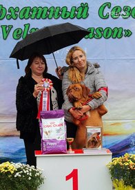 1418341_661502987214943_1313916018_n.jpg (62.61 КБ, Просмотров: 5658) 1418341_661502987214943_1313916018_n.jpg