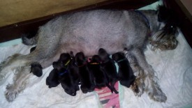 дети.jpg (138.05 КБ, Просмотров: 3663) дети.jpg