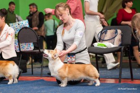 DSC_6181.jpg (335.8 КБ, Просмотров: 4886) DSC_6181.jpg