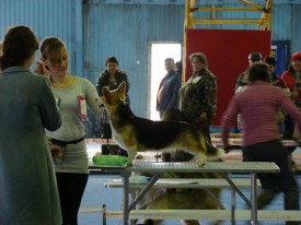 IMG-20150413-WA0001.jpg (147.49 КБ, Просмотров: 4894) IMG-20150413-WA0001.jpg