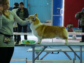 IMG-20150413-WA0002.jpg (143.48 КБ, Просмотров: 4894) IMG-20150413-WA0002.jpg