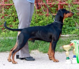 EsFY4WYdBBE.jpg (116.75 КБ, Просмотров: 1363) EsFY4WYdBBE.jpg