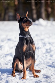 1.jpg (180.75 КБ, Просмотров: 1325) 1.jpg