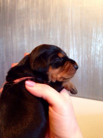 3km7JWaNDW8.jpg (121.42 КБ, Просмотров: 1363) 3km7JWaNDW8.jpg