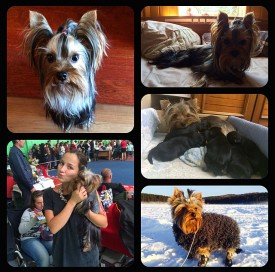 IMG_4142.jpg (256.22 КБ, Просмотров: 1075) IMG_4142.jpg