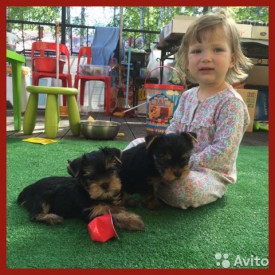 1694752246.jpg (92.11 КБ, Просмотров: 1074) 1694752246.jpg