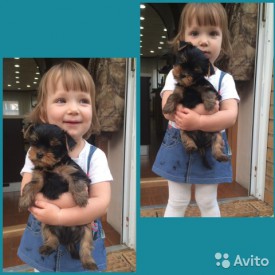 1694751449.jpg (60.57 КБ, Просмотров: 1074) 1694751449.jpg