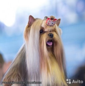 1694771815.jpg (42.31 КБ, Просмотров: 1069) 1694771815.jpg