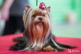 1694771814.jpg (39.26 КБ, Просмотров: 1069) 1694771814.jpg