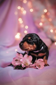 wQt6-ki7PC4.jpg (76.76 КБ, Просмотров: 1332) wQt6-ki7PC4.jpg