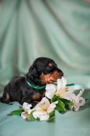 HbzNx0ybgDk.jpg (72.63 КБ, Просмотров: 1332) HbzNx0ybgDk.jpg