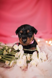 nYwQoIBenA8.jpg (85.56 КБ, Просмотров: 1332) nYwQoIBenA8.jpg