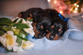 NghfybtDWCE.jpg (150.03 КБ, Просмотров: 1332) NghfybtDWCE.jpg