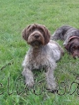 ___20150418_1566358732.jpg (22.27 КБ, Просмотров: 3033) ___20150418_1566358732.jpg