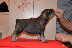 красная.jpg (209.94 КБ, Просмотров: 3618) красная.jpg