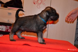 синий.jpg (200.11 КБ, Просмотров: 3543) синий.jpg