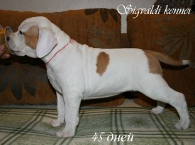 cgaZn82Ke48.jpg (73.12 КБ, Просмотров: 1077) cgaZn82Ke48.jpg