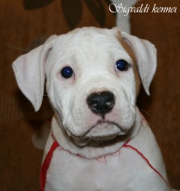 wOizcOX30Dg.jpg (80.45 КБ, Просмотров: 1134) wOizcOX30Dg.jpg