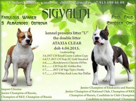 iEJCQAngRHU.jpg (84.04 КБ, Просмотров: 1162) iEJCQAngRHU.jpg