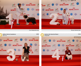 wds2015_puppy_14june.png