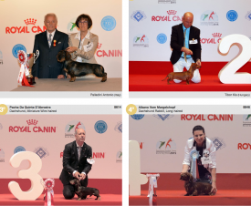 wds2015_junior_fci4.png (1.55 МБ, Просмотров: 4250) wds2015_junior_fci4.png