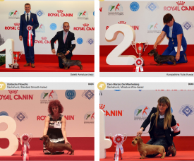 wds2015_fci4.png (1.66 МБ, Просмотров: 3673) wds2015_fci4.png