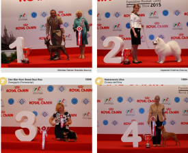 wds2015_fci5.png (1.54 МБ, Просмотров: 3667) wds2015_fci5.png