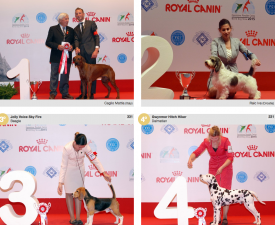 wds2015_junior_fci6.png (1.65 МБ, Просмотров: 3504) wds2015_junior_fci6.png