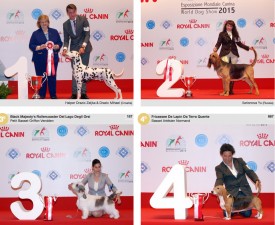 wds2015_fci6.png (1.64 МБ, Просмотров: 4249) wds2015_fci6.png