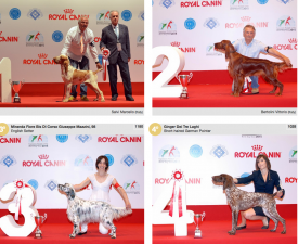 wds2015_junior_fci7.png (1.64 МБ, Просмотров: 3664) wds2015_junior_fci7.png